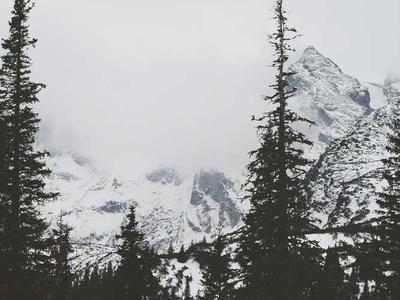 永劫无间 - 自动振刀